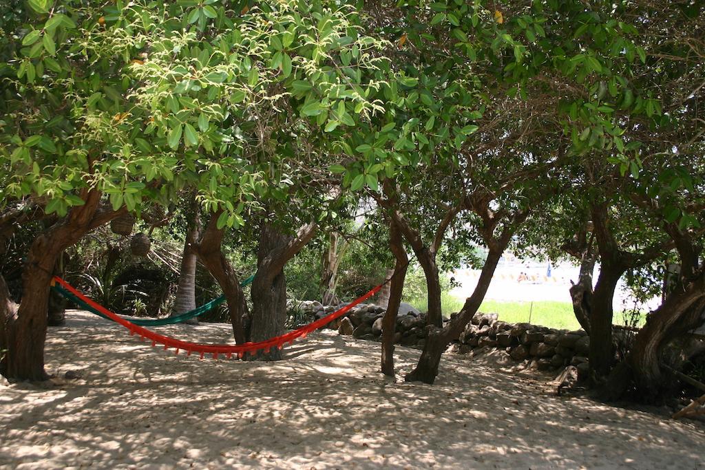 Junto Al Rio Bungalows & Suites 사율리타 외부 사진